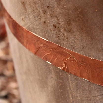 Strip of copper tape which stops snails and slugs from crossing it’s path.