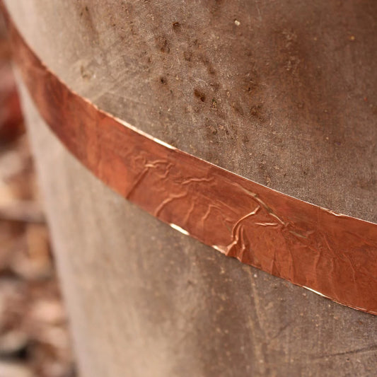 Strip of copper tape which stops snails and slugs from crossing it’s path.