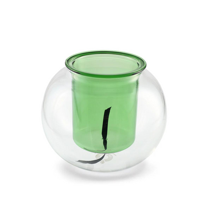 Cup O Flora Medium Self-Watering Glass Pot with Green Inner Cup