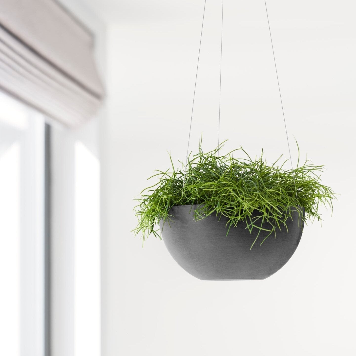 Ecopots Dark Grey Hanging Planter