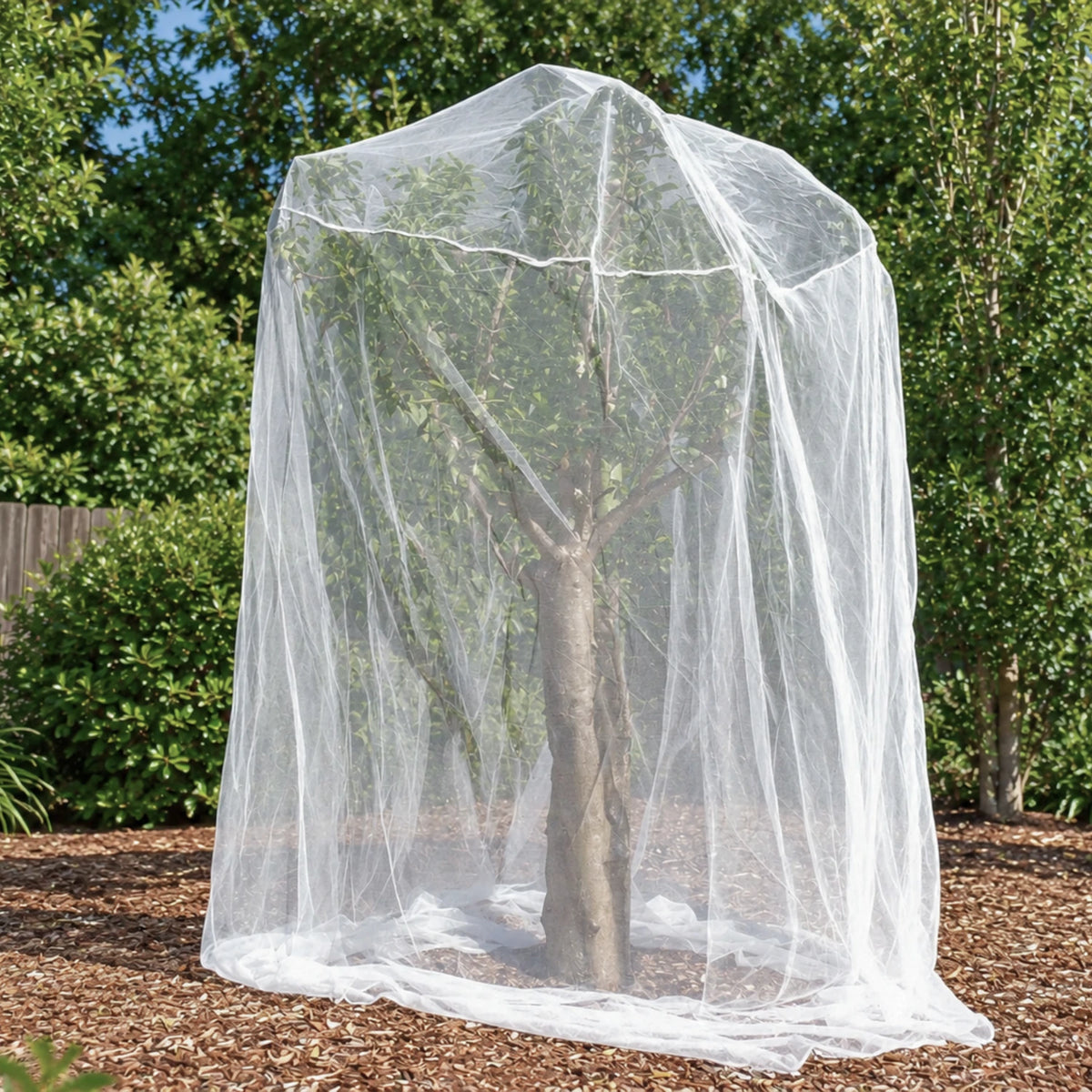 Fitted Insect Net Over Fruit Tree