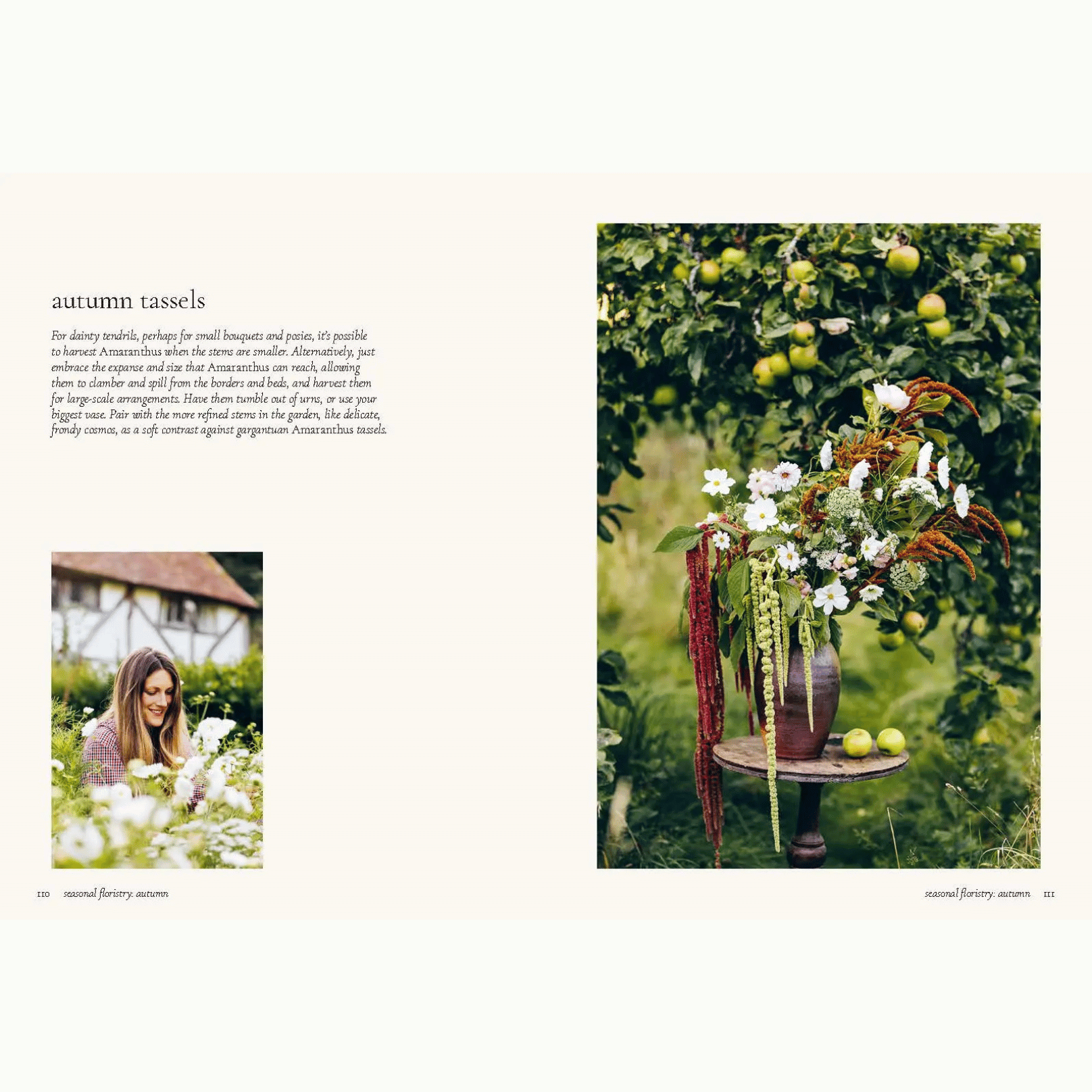 Floristry Book Autumn Tassels