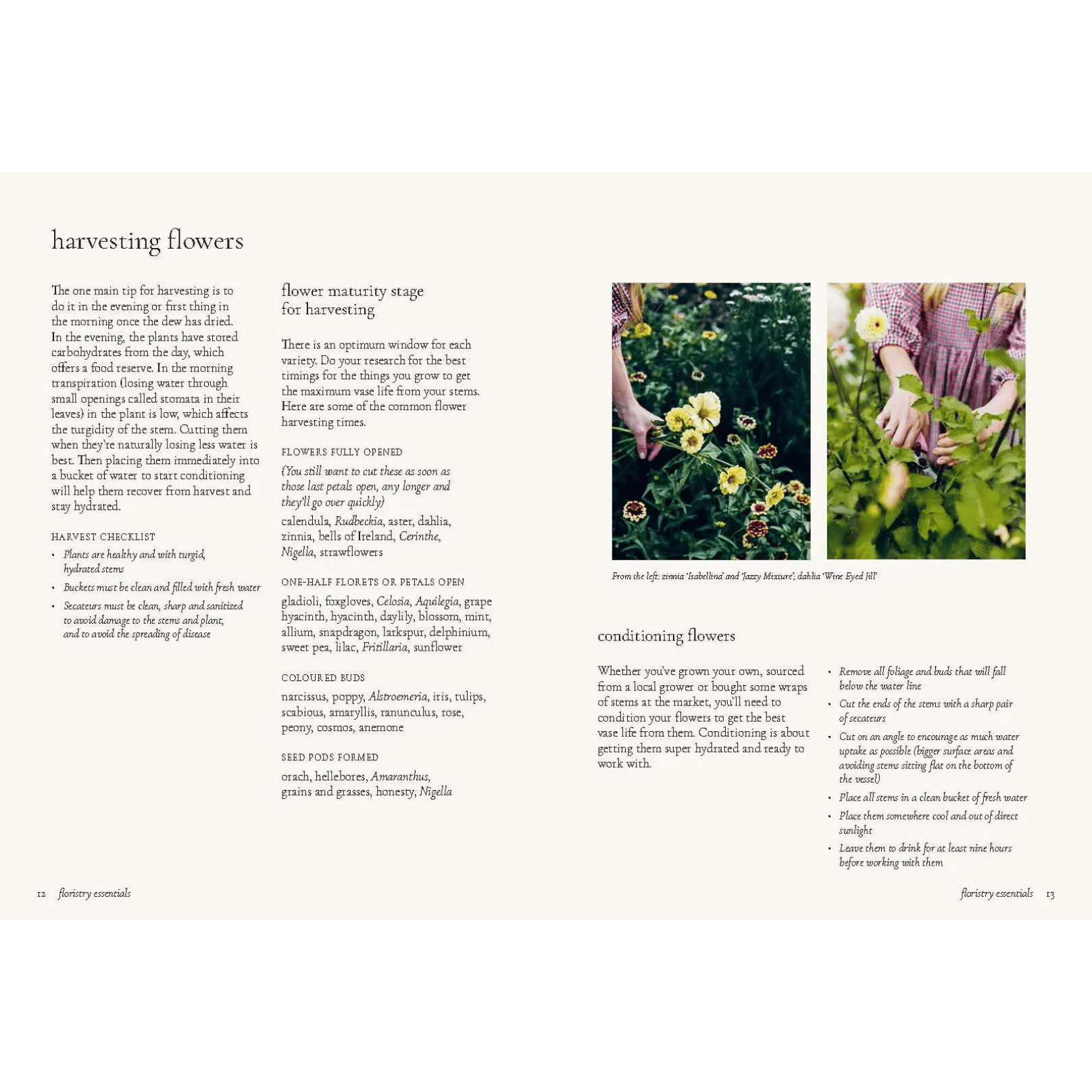 Floristry Book Harvesting Flowers