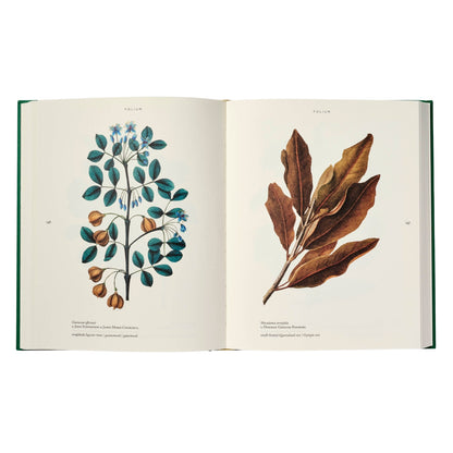 Folium Book Sample Page 146