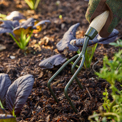 Cultivating Soil with RHS BoronGreen Claw Cultivator