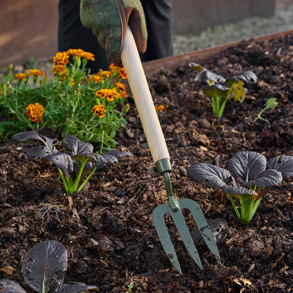 Gardening with Burgon & Ball RHS BoronGreen Mid-Handled Fork