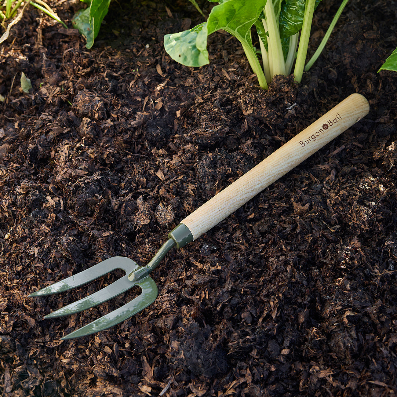 Burgon & Ball RHS BoronGreen Mid Handled Fork in Garden