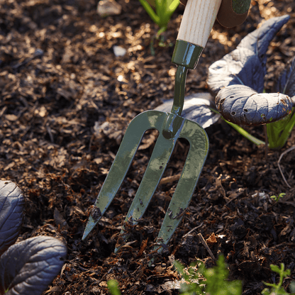 Digging in Soil with Burgon & Ball RHS BoronGreen Hand Fork