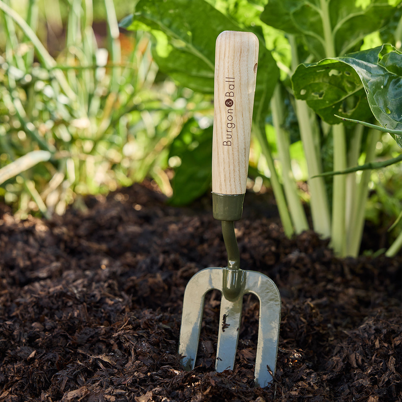 RHS BoronGreen Hand Fork in Soil