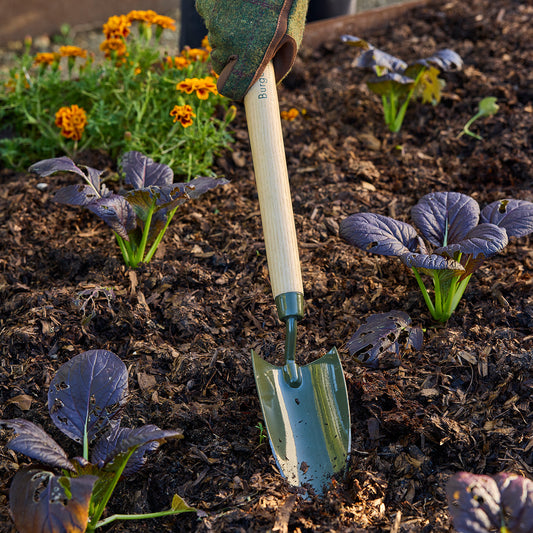 Gardening with Burgon & Ball RHS BoronGreen Mid-Handled Trowel