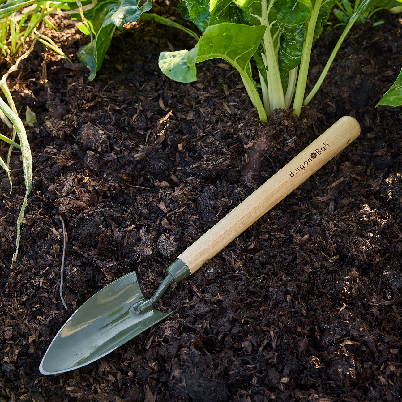 Burgon & Ball RHS BoronGreen Mid Handled Trowel in Garden