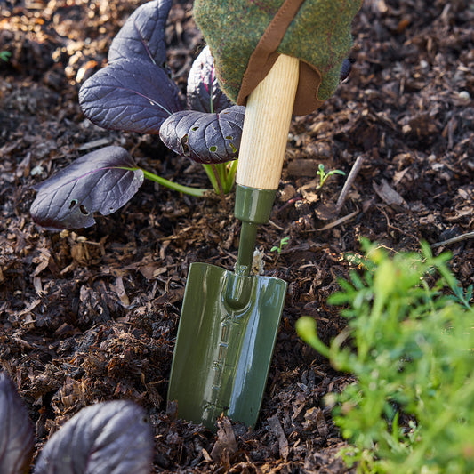 Burgon & Ball RHS BoronGreen Transplanter in Ground