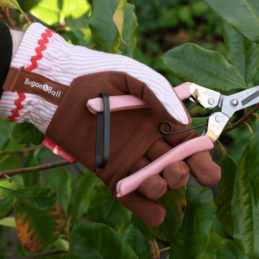 Gardener wearing pink striped gardening gloves with suede palms.