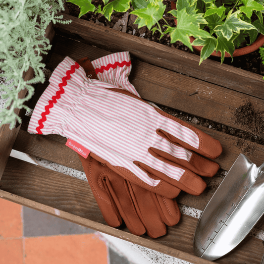 Burgon & Ball 'Collector' Pink Striped Women's Gardening Gloves