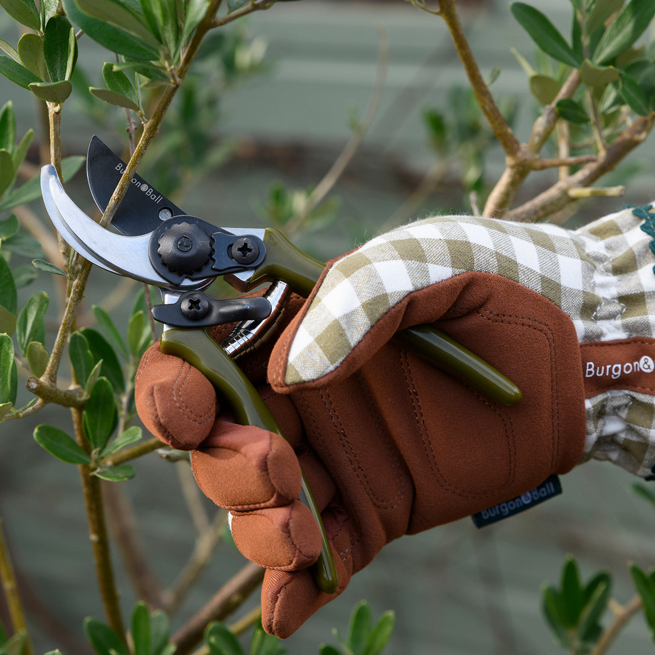 Pruning in the Garden with Burgon & Ball 'Collector' Micro Secateurs in Olive