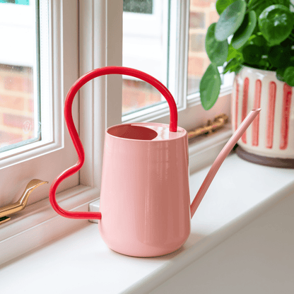Burgon & Ball Pink Scalloped Indoor Watering Can on Windowsill