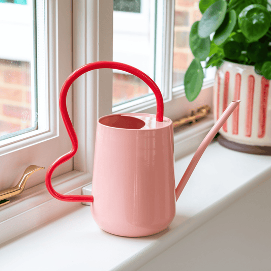 Burgon & Ball Pink Scalloped Indoor Watering Can on Windowsill