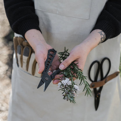 Herb Harvest & Strip Tool in the Garden