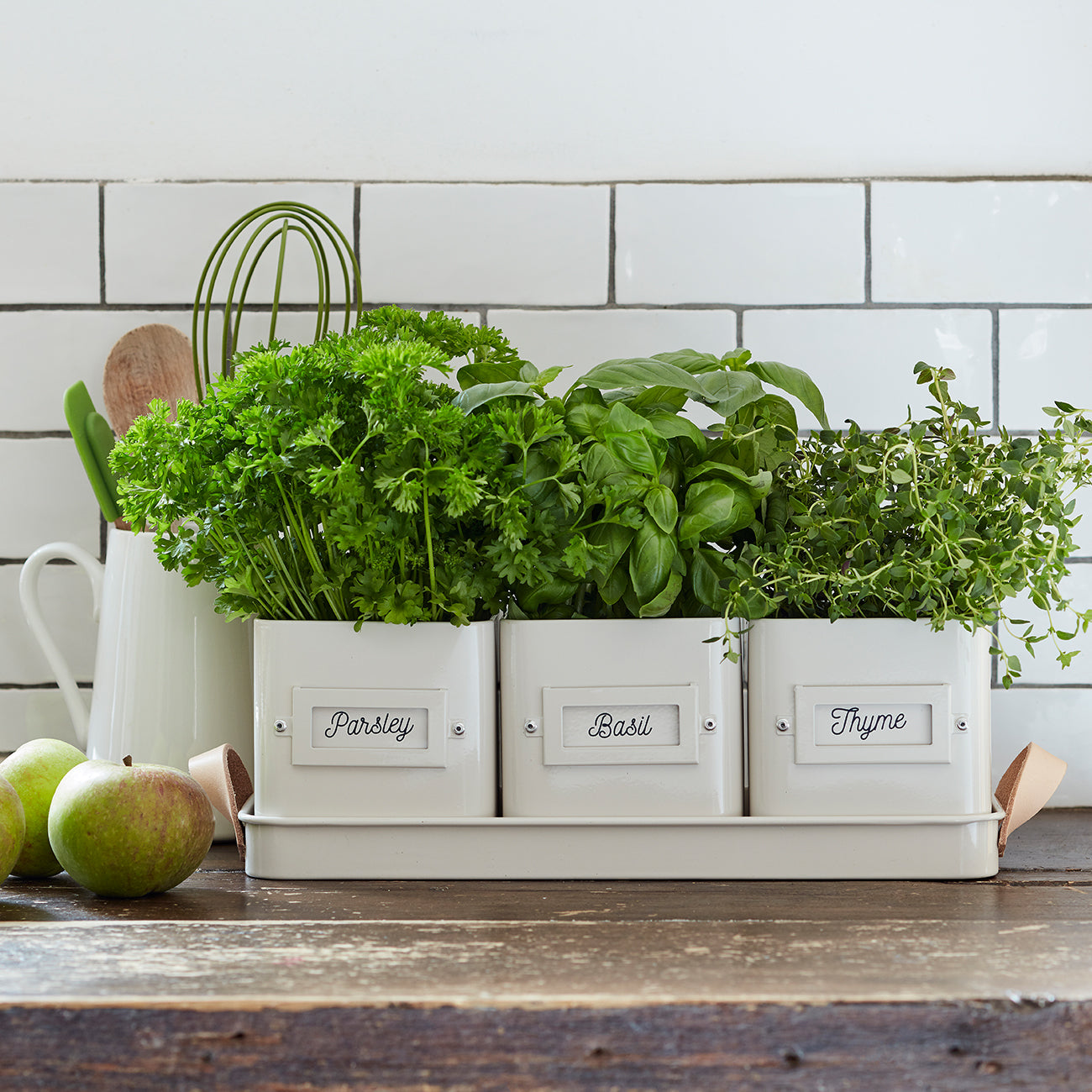 Kitchen Herb Pots