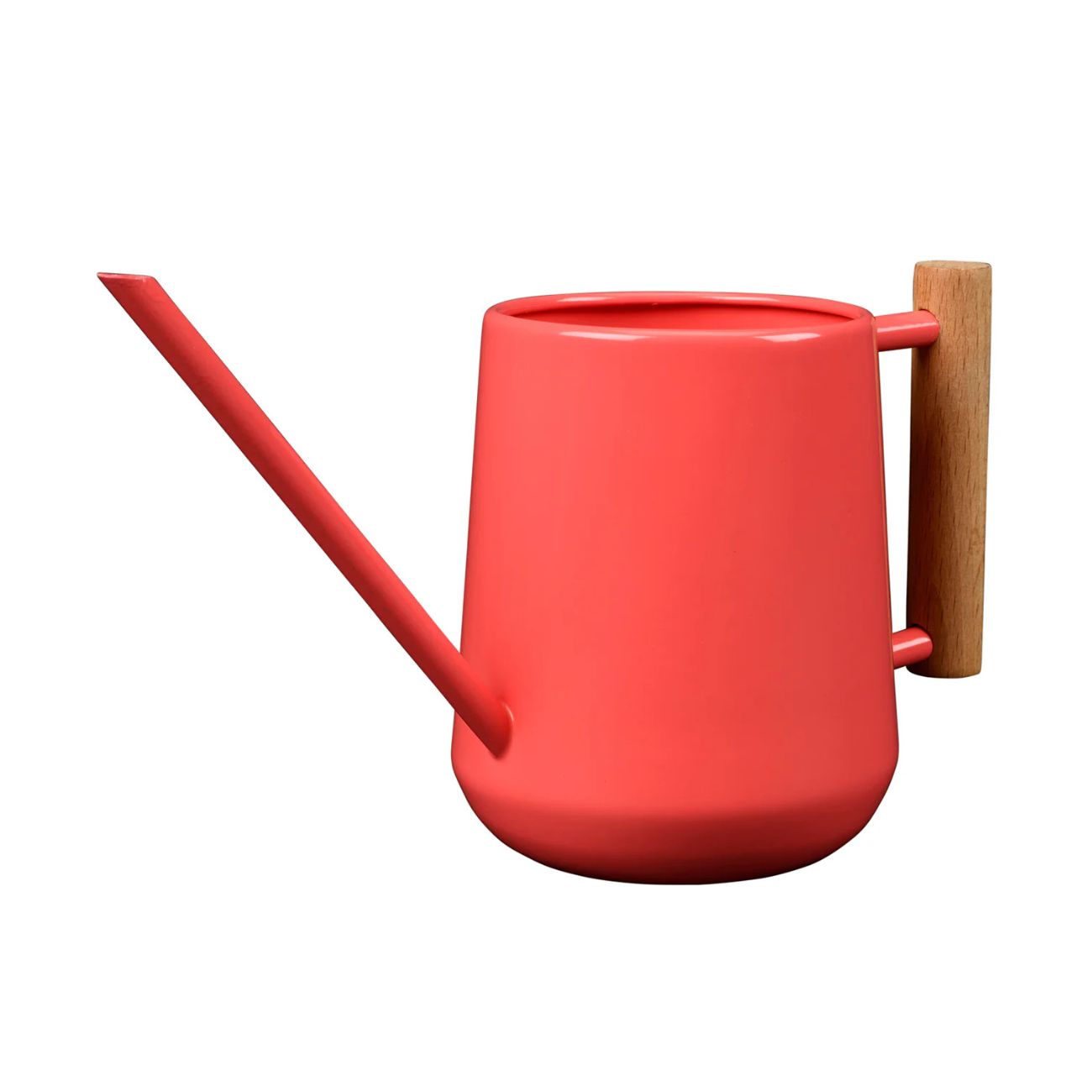 This indoor watering can's slender spout is perfect for delivering water just where it’s needed.