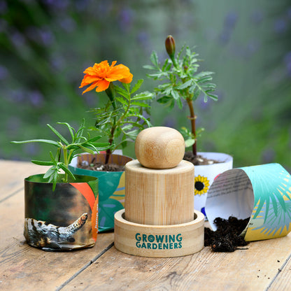RHS Growing Gardeners - Make Your Own Seedling Paper Pots