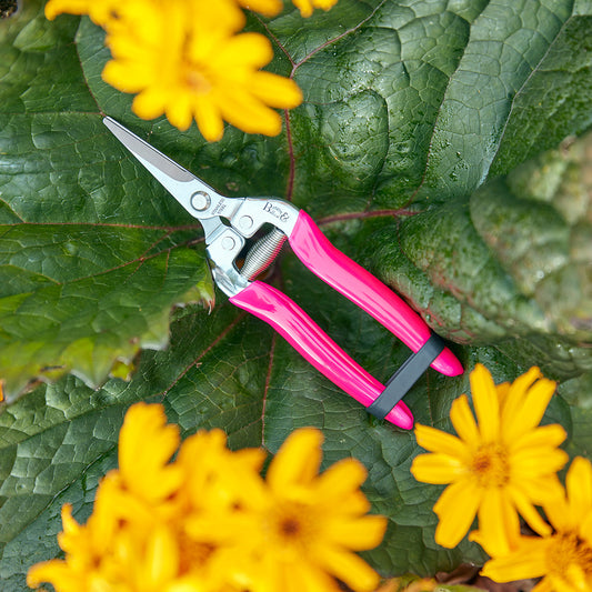 Burgon & Ball FloraBrite® Pink Flower & Fruit Snip Gardening Tool