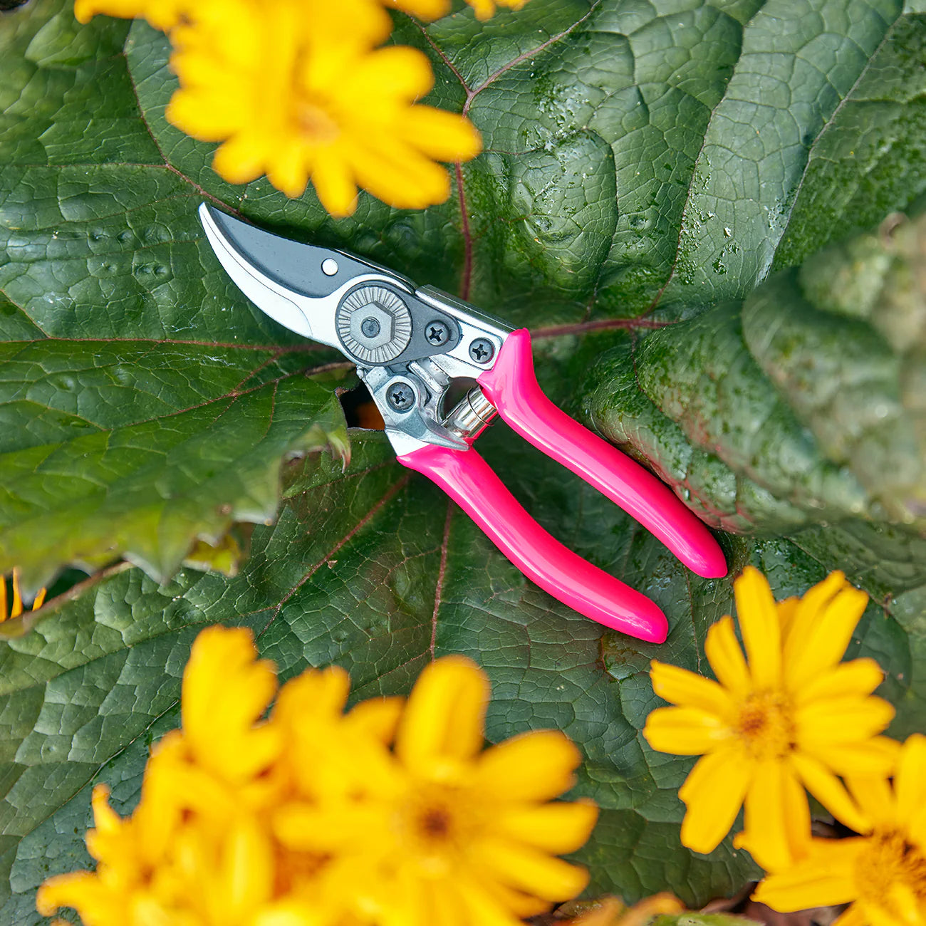 FloraBrite® Gardening Tools - Bright Pink Pocket Pruner in Foliage