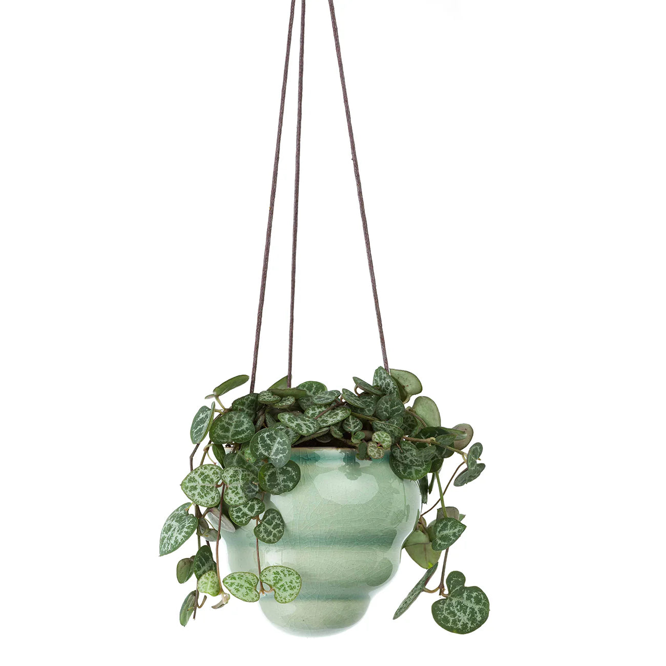 Small Hanging Pot