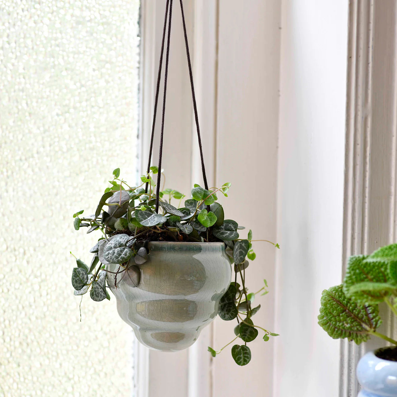 Small Hanging Plant Pot