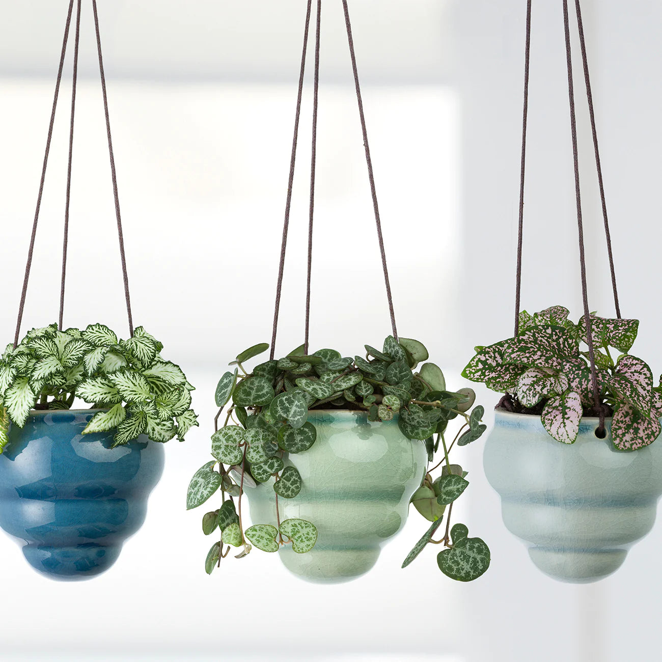 Mini Hanging Plant Pot Trio