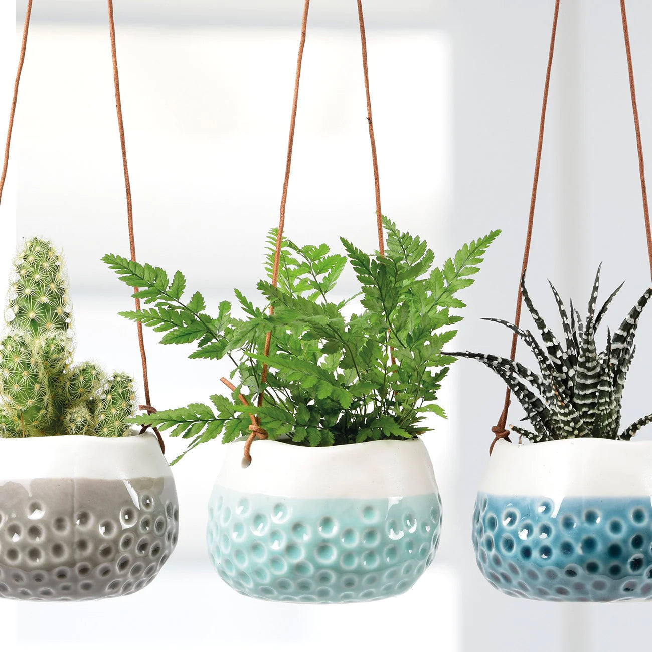 Mini Hanging Plant Pot Trio