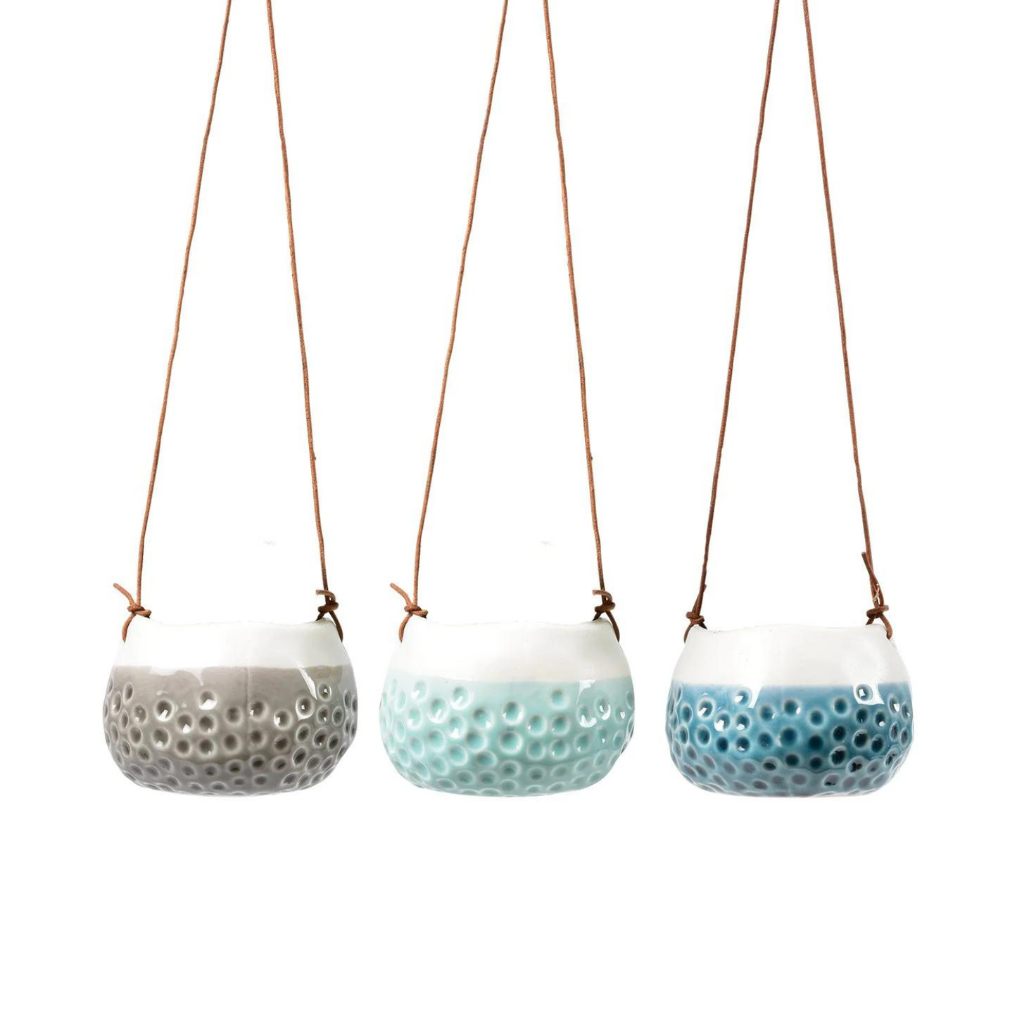 'Baby Dotty' Hanging Pot Trio