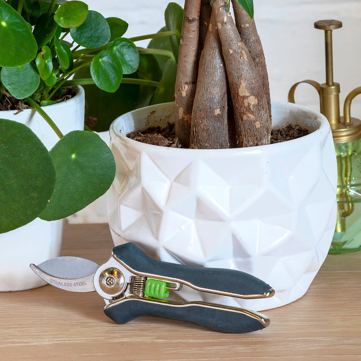 Burgon & Ball Houseplant Pruner leaning on indoor plant pot.