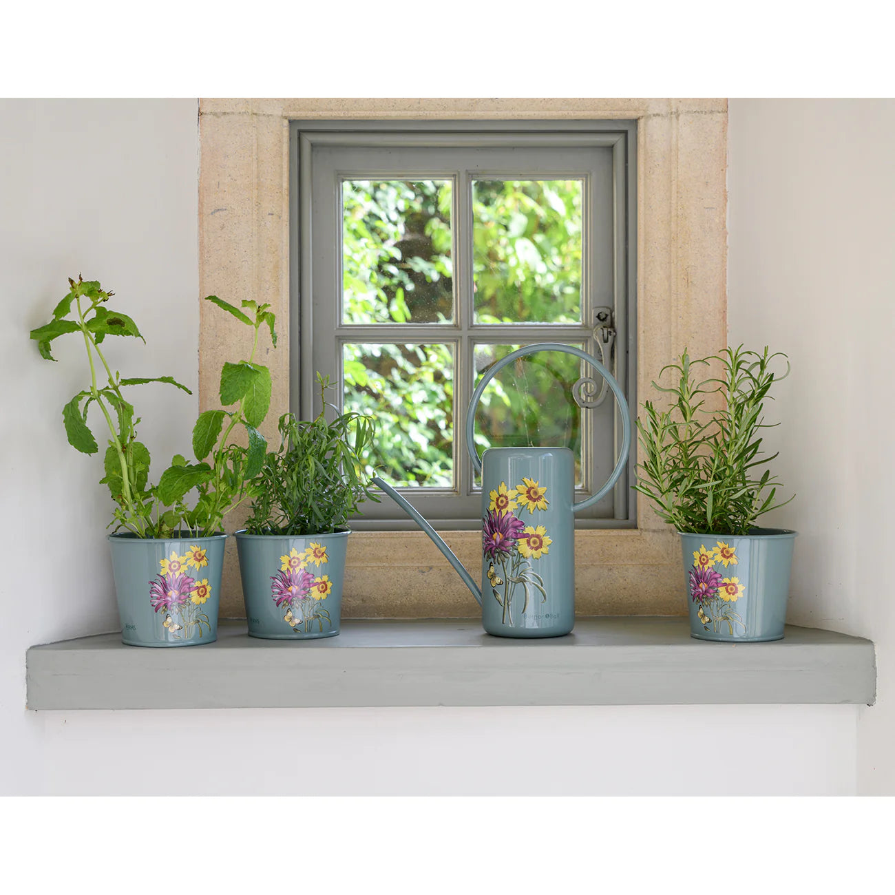 Burgon & Ball 'Asteraceae' Collection Indoor Watering Can & Pots