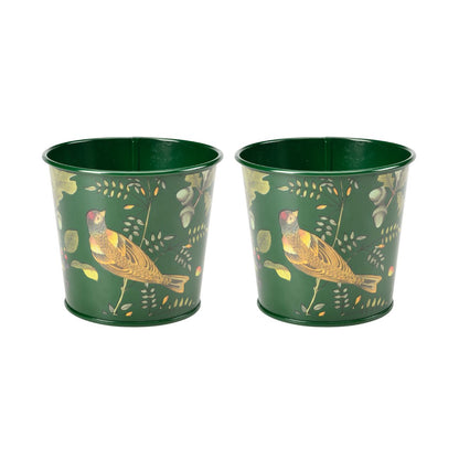 Burgon & Ball RHS 'Woodland Wonders' Collection Herb Pots, Set of 2