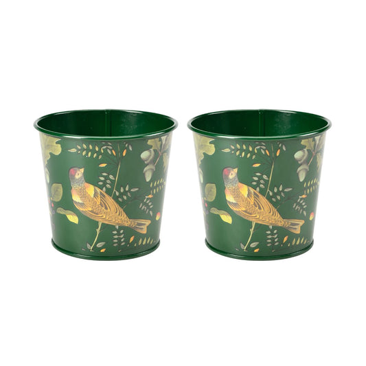 Burgon & Ball RHS 'Woodland Wonders' Collection Herb Pots, Set of 2