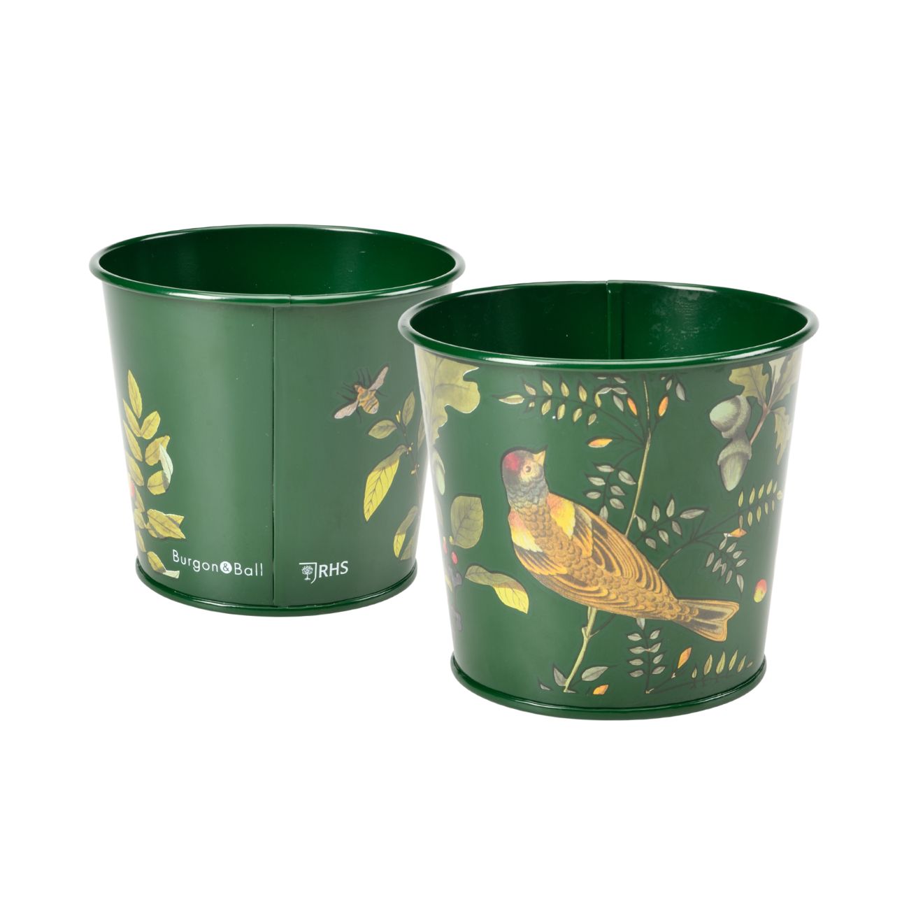 Burgon & Ball RHS 'Woodland Wonders' Green Herb Pots