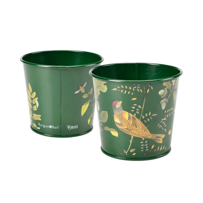 Burgon & Ball RHS 'Woodland Wonders' Green Herb Pots