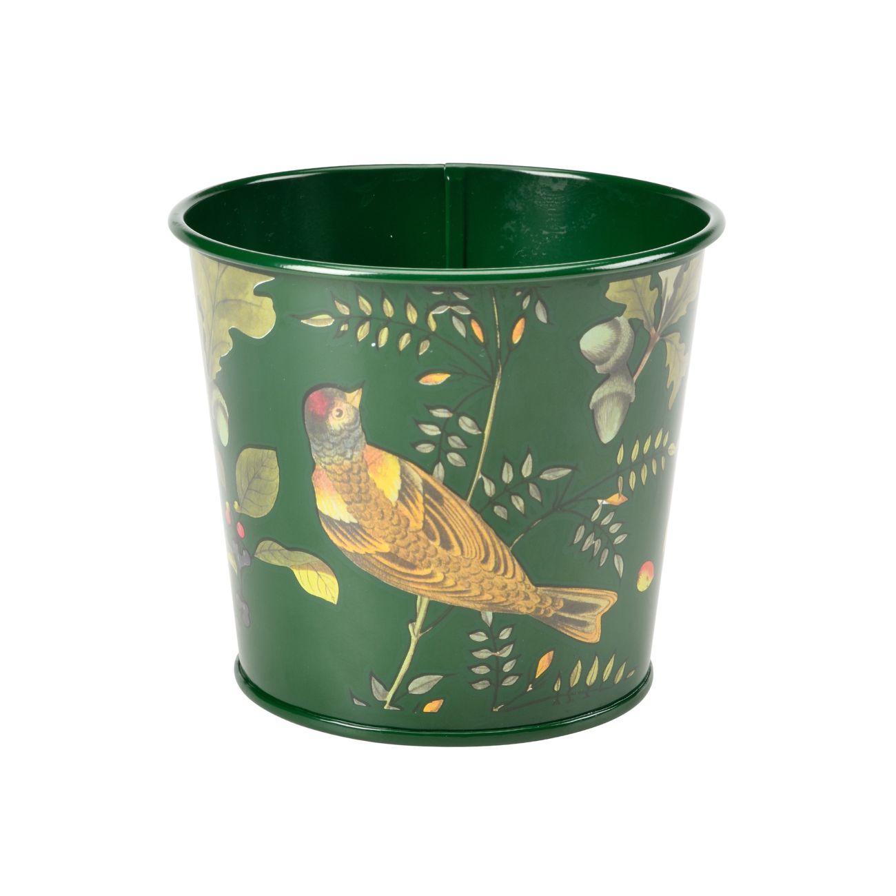 Burgon & Ball RHS 'Woodland Wonders' Collection Herb Pot