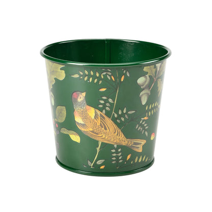 Burgon & Ball RHS 'Woodland Wonders' Collection Herb Pot