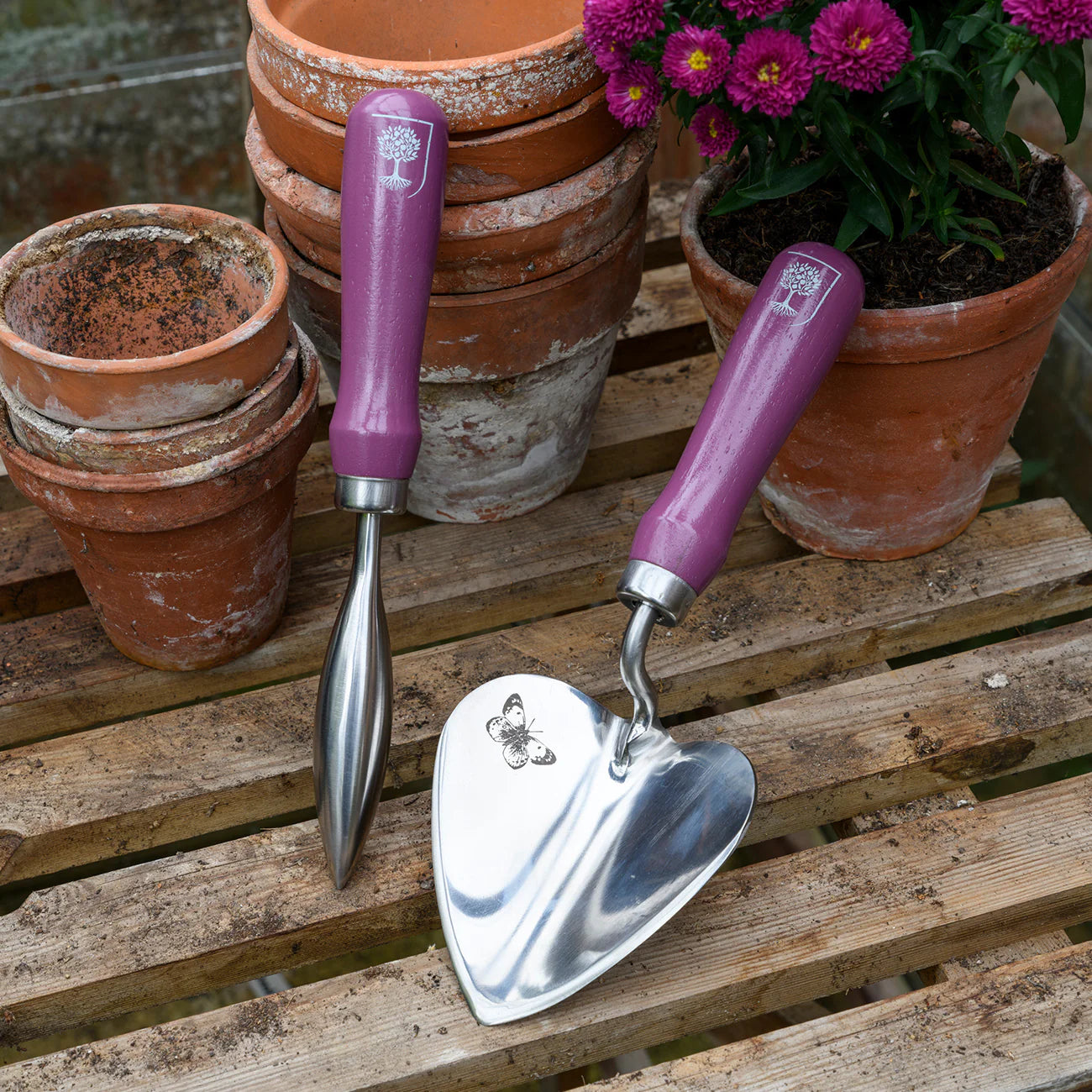 RHS Gifts for Gardeners Asteraceae Planting Trowel & Dibber Set