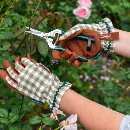 Pruning with Burgon & Ball RHS 'Woodland Wonders' Gardening Snips
