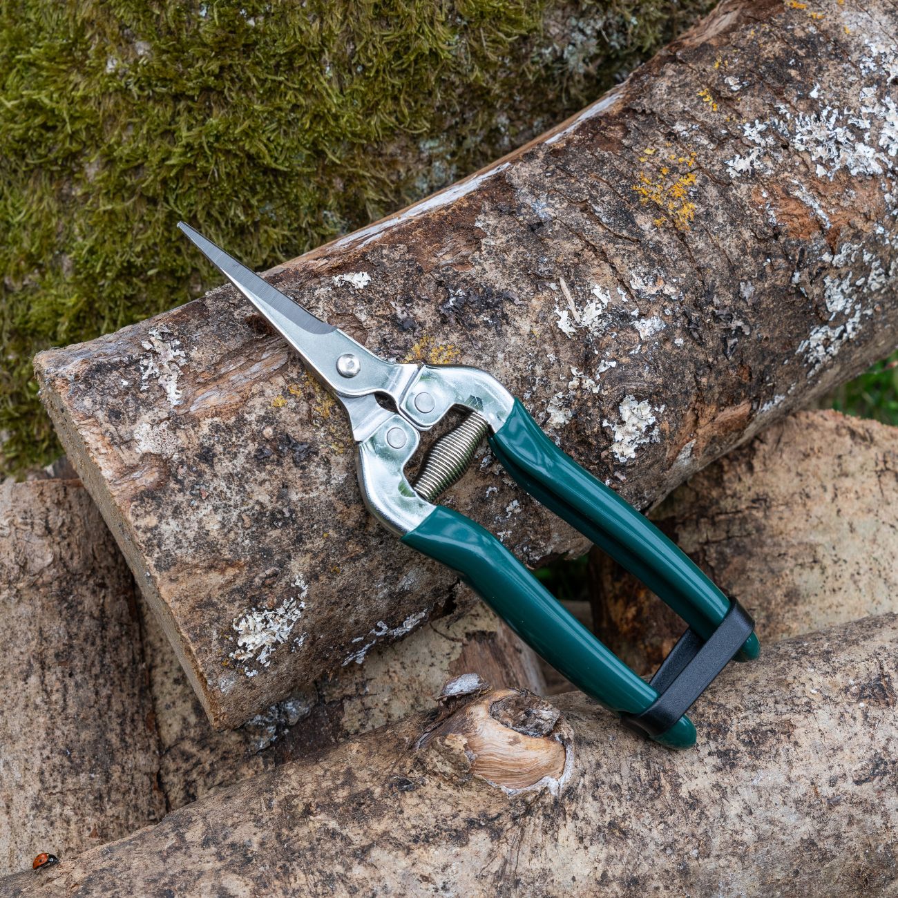 Burgon & Ball RHS 'Woodland Wonders' Green Gardening Snips on Log