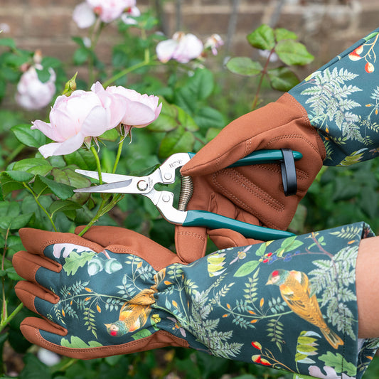 Burgon & Ball RHS 'Woodland Wonders' Gardening Snips and Gloves