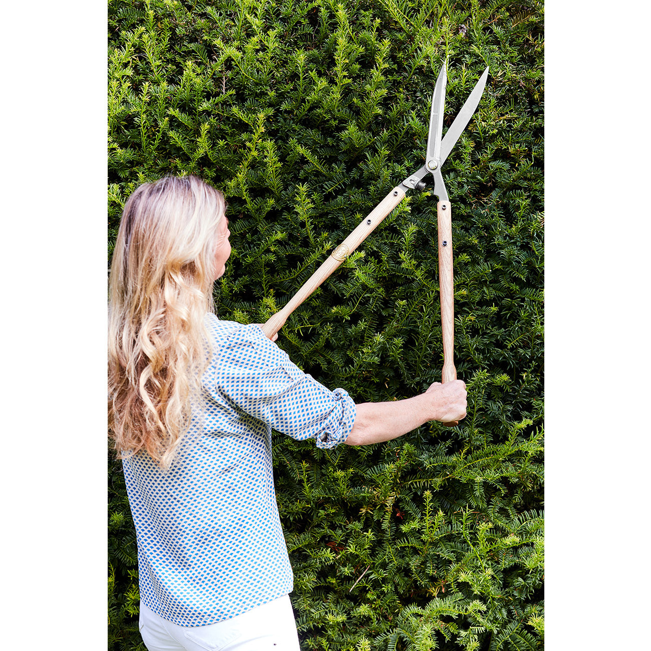 Trimming Hedges with Sophie Conran Hedge Shear