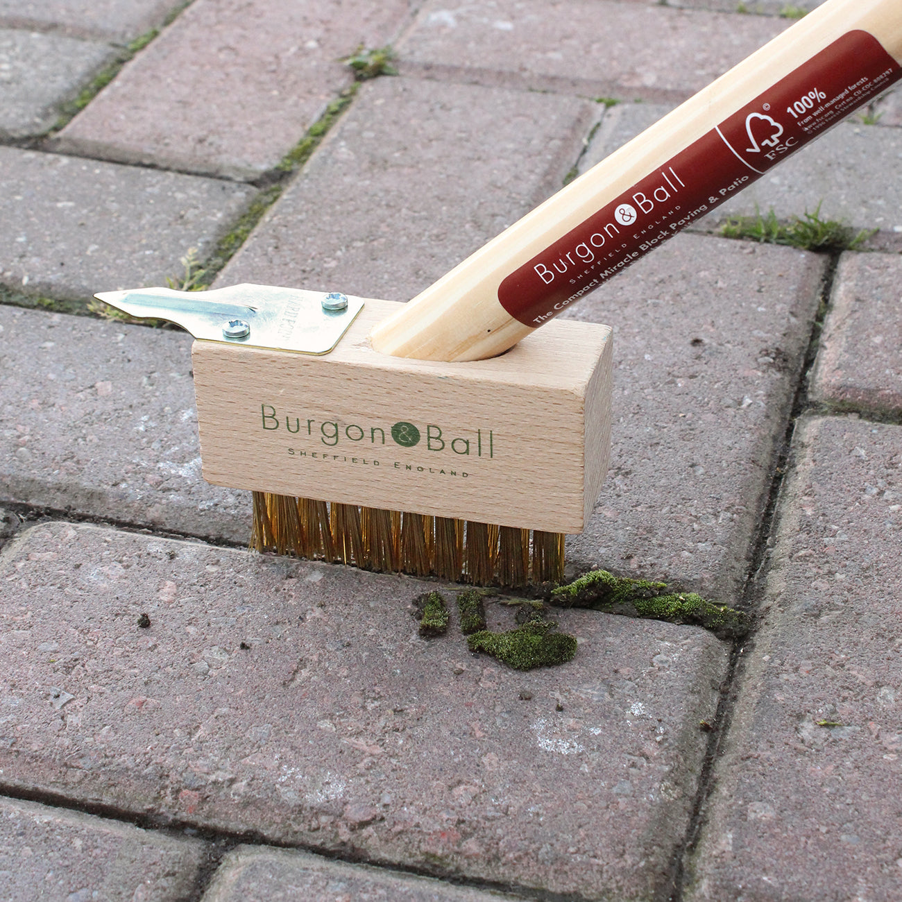 Block Paving Weeder