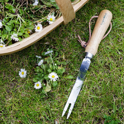 RHS Daisy Grubber