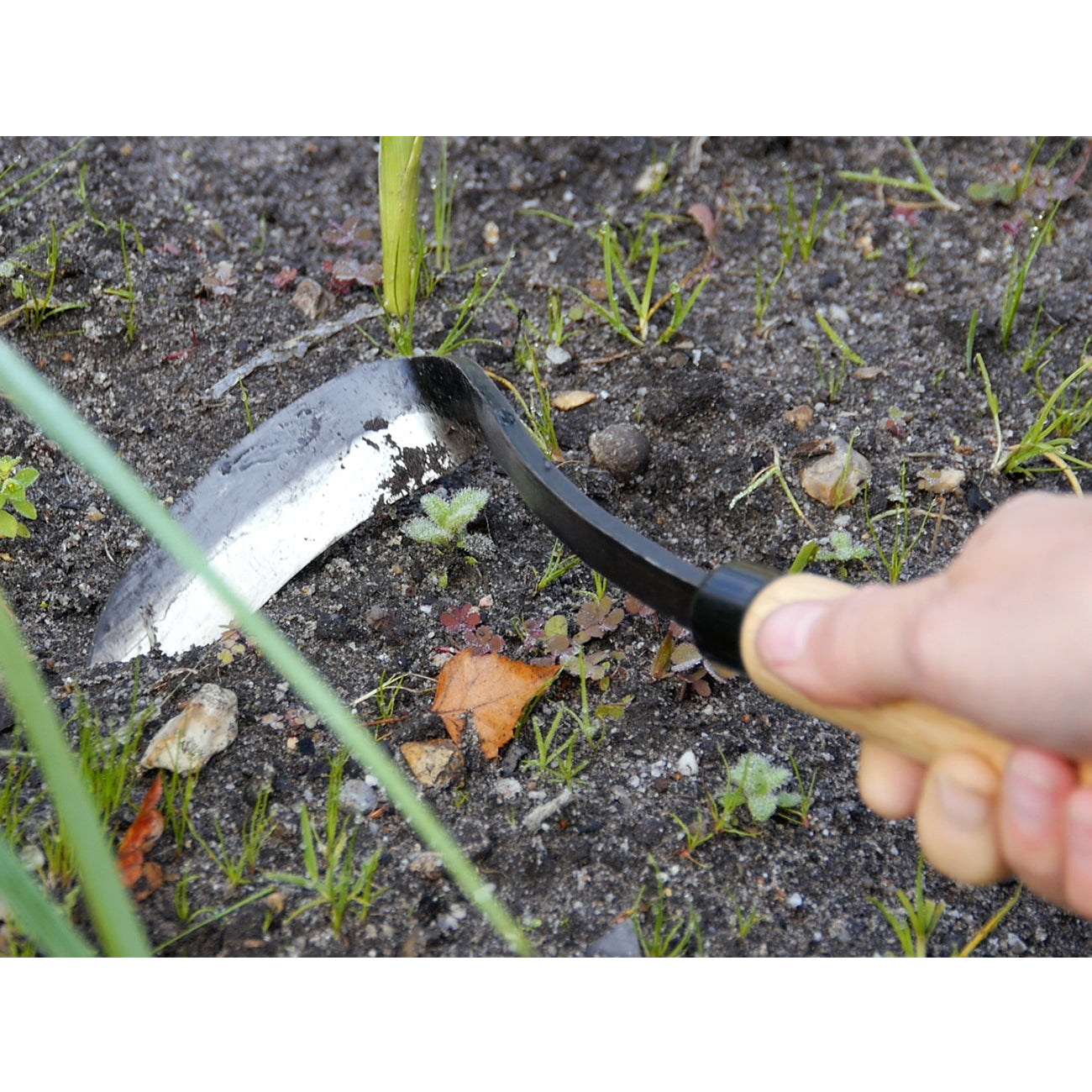 Tough Tools Razor Gardening Hoe