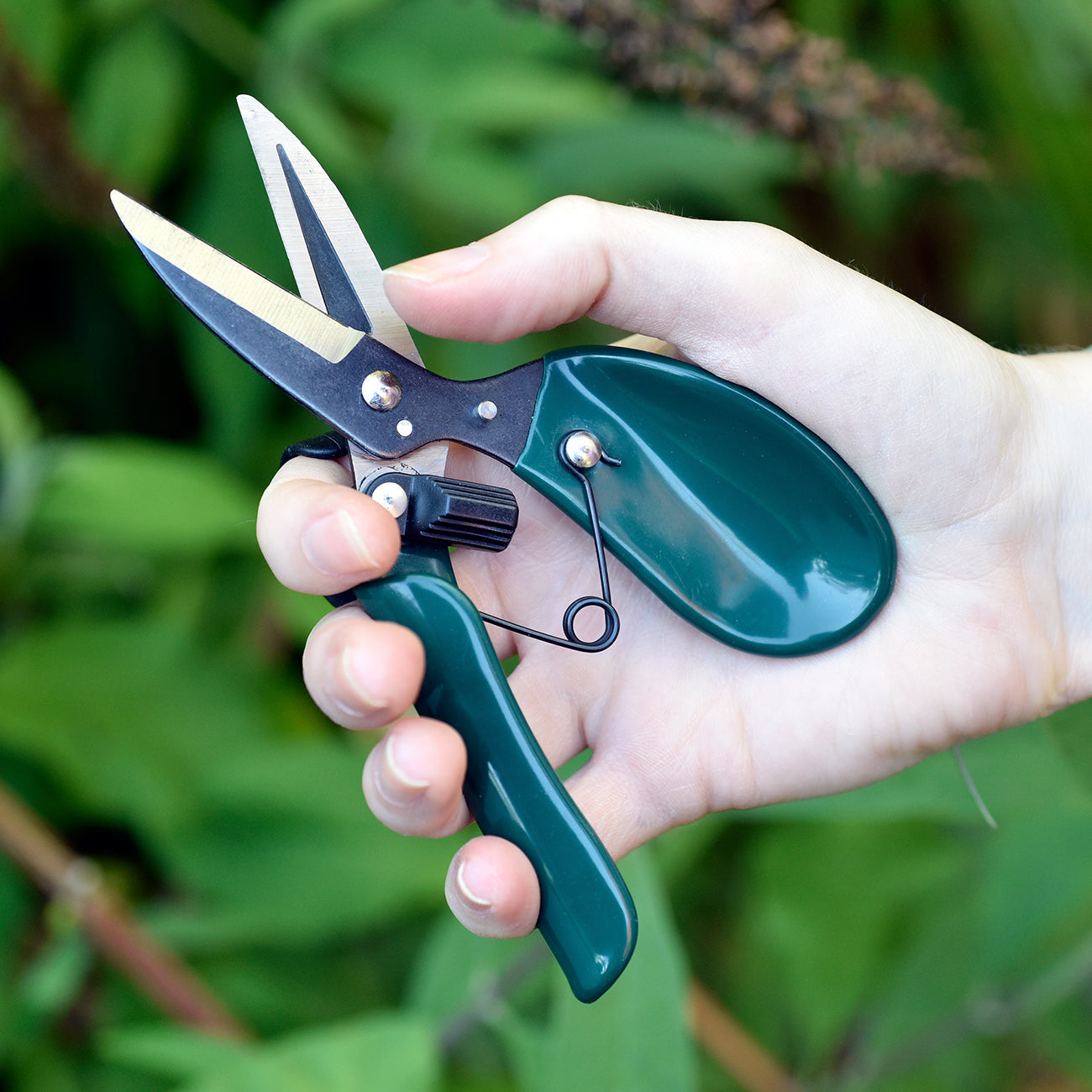 A unique wearable pruner.