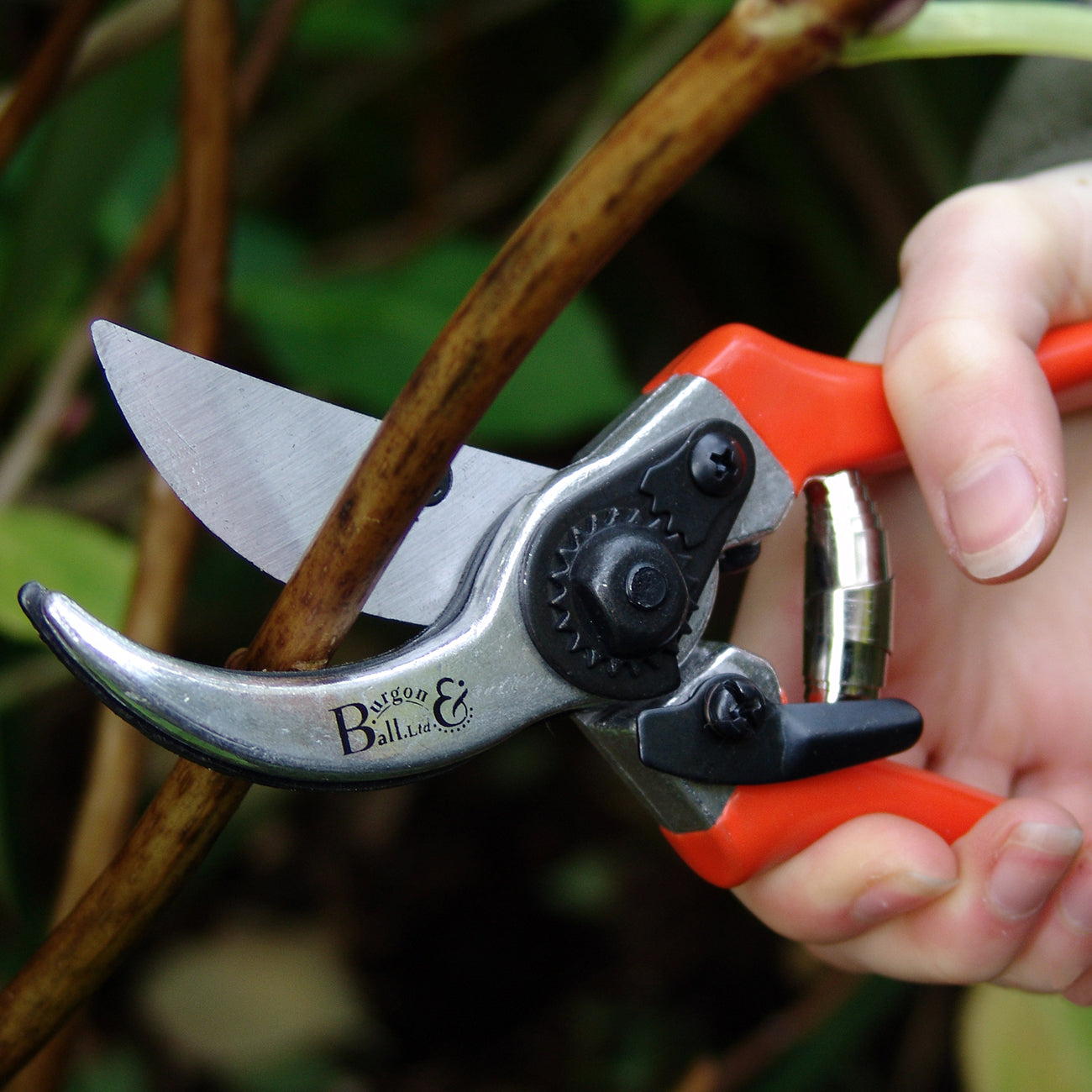 Gardening with Burgon & Ball RHS-Endorsed Bypass Secateurs
